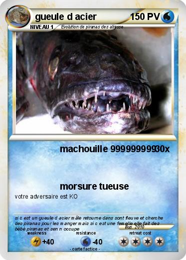 Pokemon gueule d acier