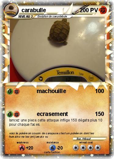 Pokemon carabulle