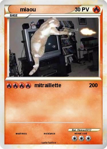 Pokemon miaou