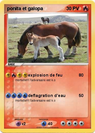 Pokemon ponita et galopa