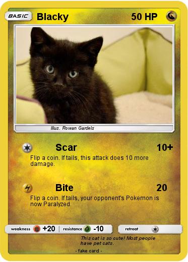 Pokemon Blacky