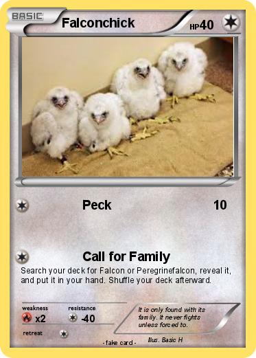 Pokemon Falconchick