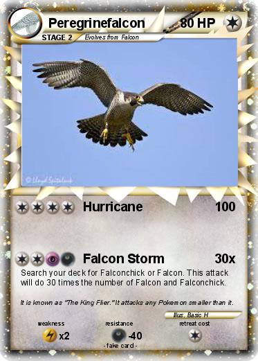 Pokemon Peregrinefalcon