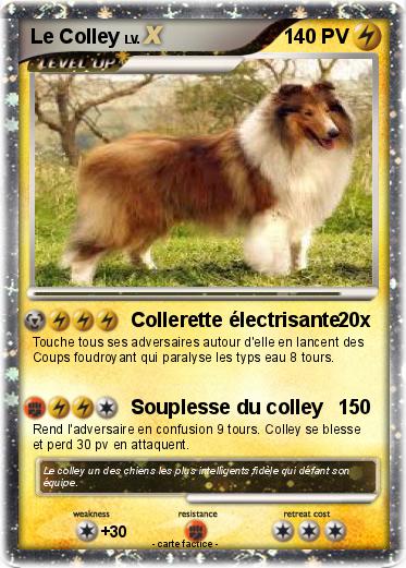 Pokemon Le Colley