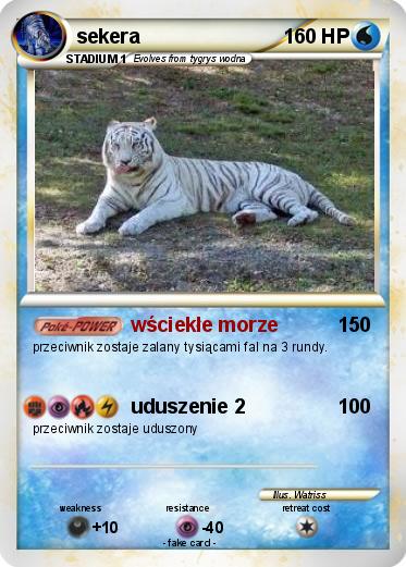 Pokemon sekera