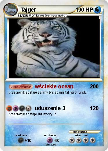 Pokemon Tajger