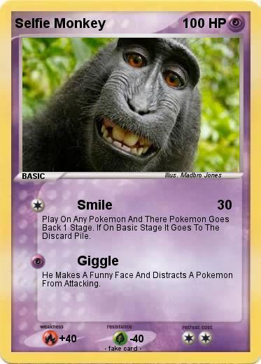 Pokemon Selfie Monkey