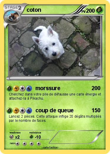 Pokemon coton