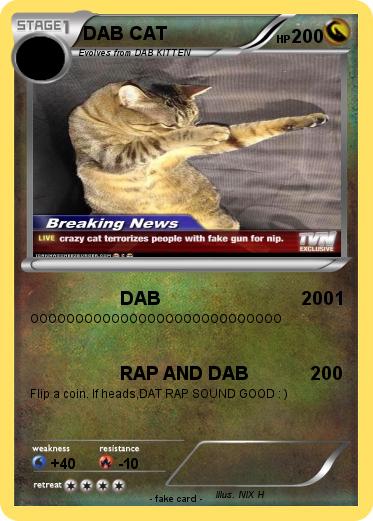Pokemon DAB CAT