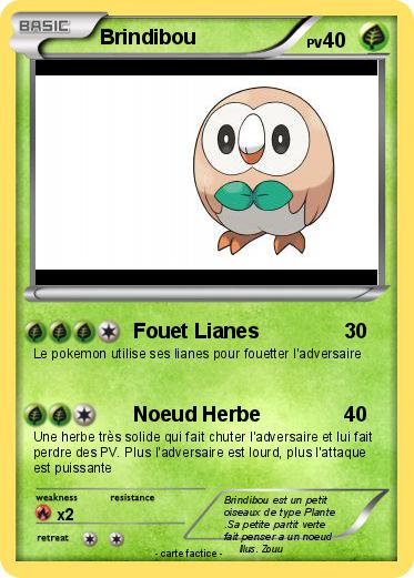 Pokemon Brindibou
