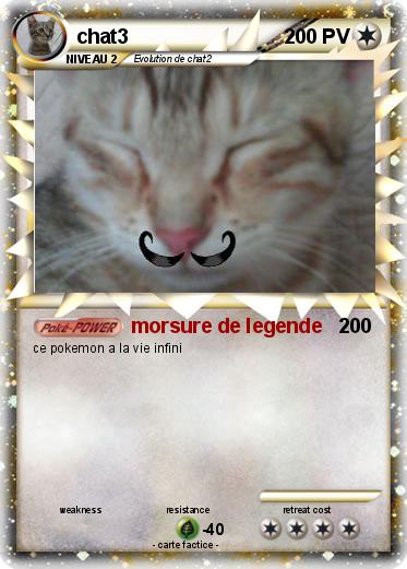 Pokemon chat3