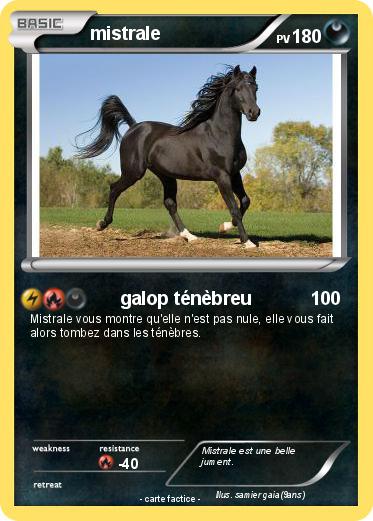 Pokemon mistrale