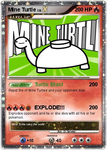 Pokemon Mine Turtle