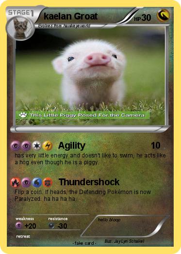 Pokemon kaelan Groat