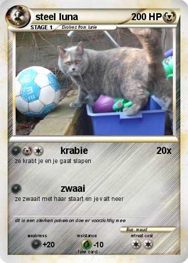 Pokemon steel luna