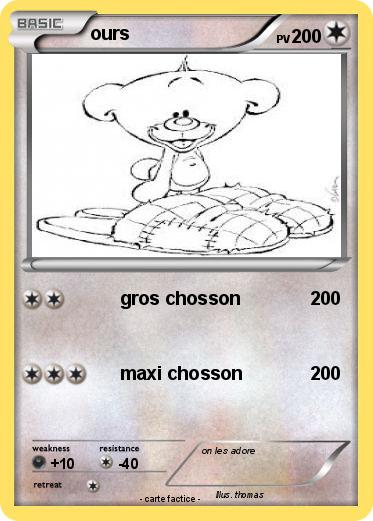 Pokemon ours