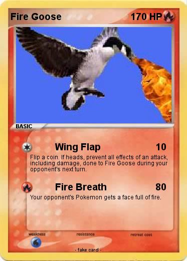 Pokemon Fire Goose