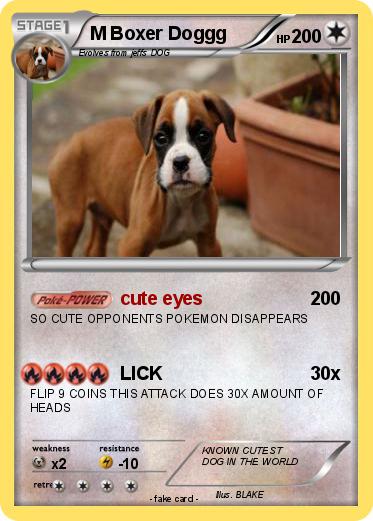 Pokemon M Boxer Doggg