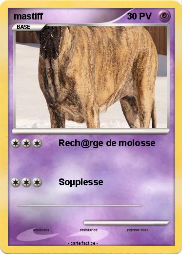 Pokemon mastiff