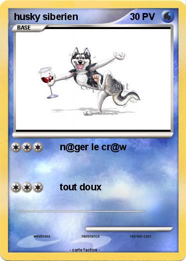 Pokemon husky siberien