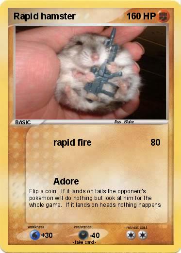 Pokemon Rapid hamster