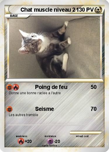 Pokemon Chat muscle niveau 2