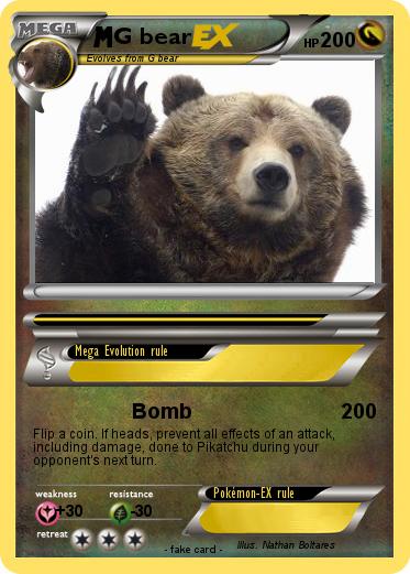 Pokemon G bear