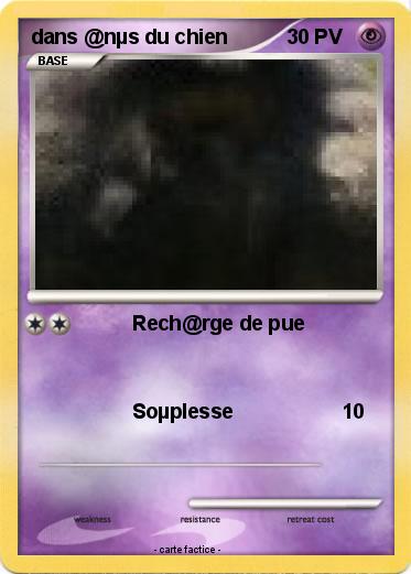 Pokemon dans @nµs du chien