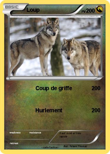 Pokemon Loup