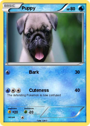 Pokemon Puppy