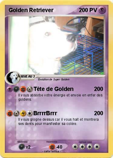 Pokemon Golden Retriever