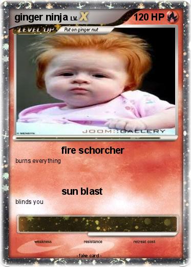 Pokemon ginger ninja