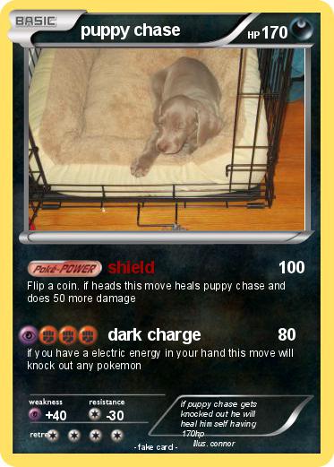 Pokemon puppy chase