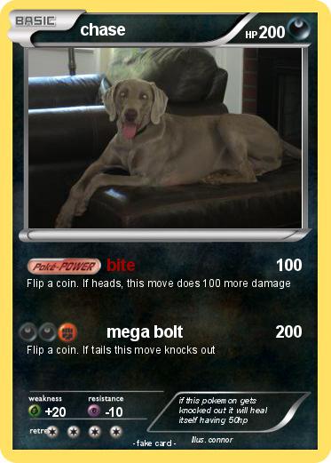 Pokemon chase