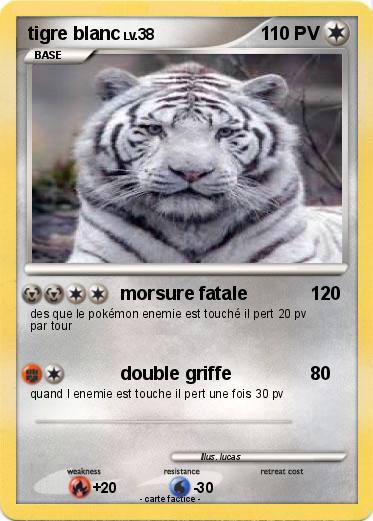 Pokemon tigre blanc