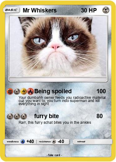Pokemon Mr Whiskers