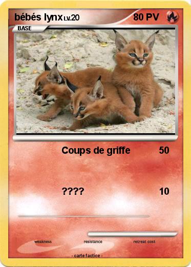 Pokemon bébés lynx