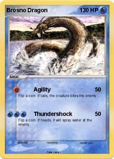 Pokemon Brosno Dragon