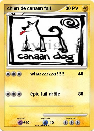 Pokemon chien de canaan fail