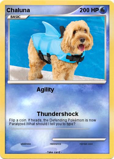 Pokemon Chaluna