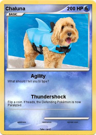 Pokemon Chaluna