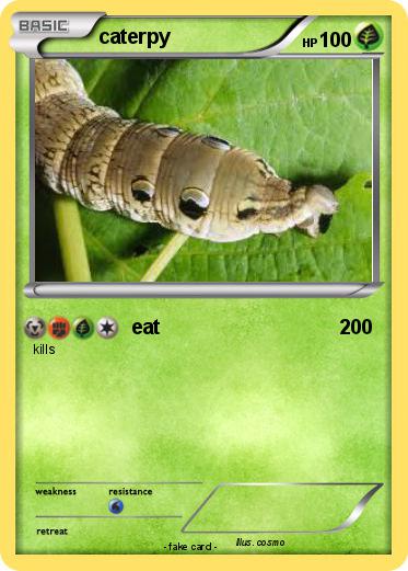 Pokemon caterpy