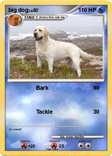 Pokemon big dog
