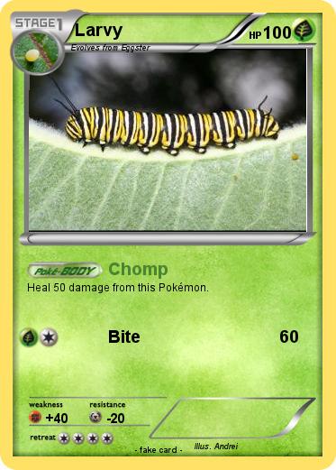 Pokemon Larvy