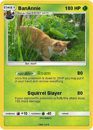 Pokemon BanAnnie
