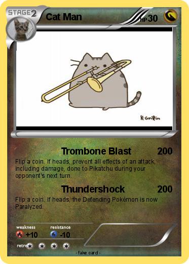Pokemon Cat Man