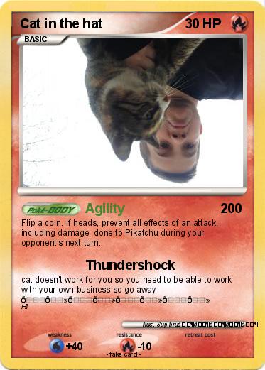 Pokemon Cat in the hat