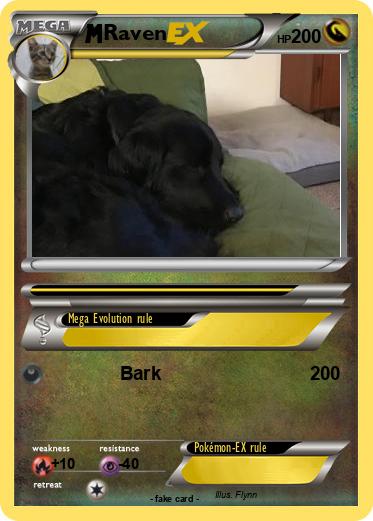Pokemon Raven
