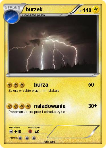 Pokemon burzek
