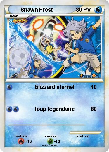 Pokemon Shawn Frost